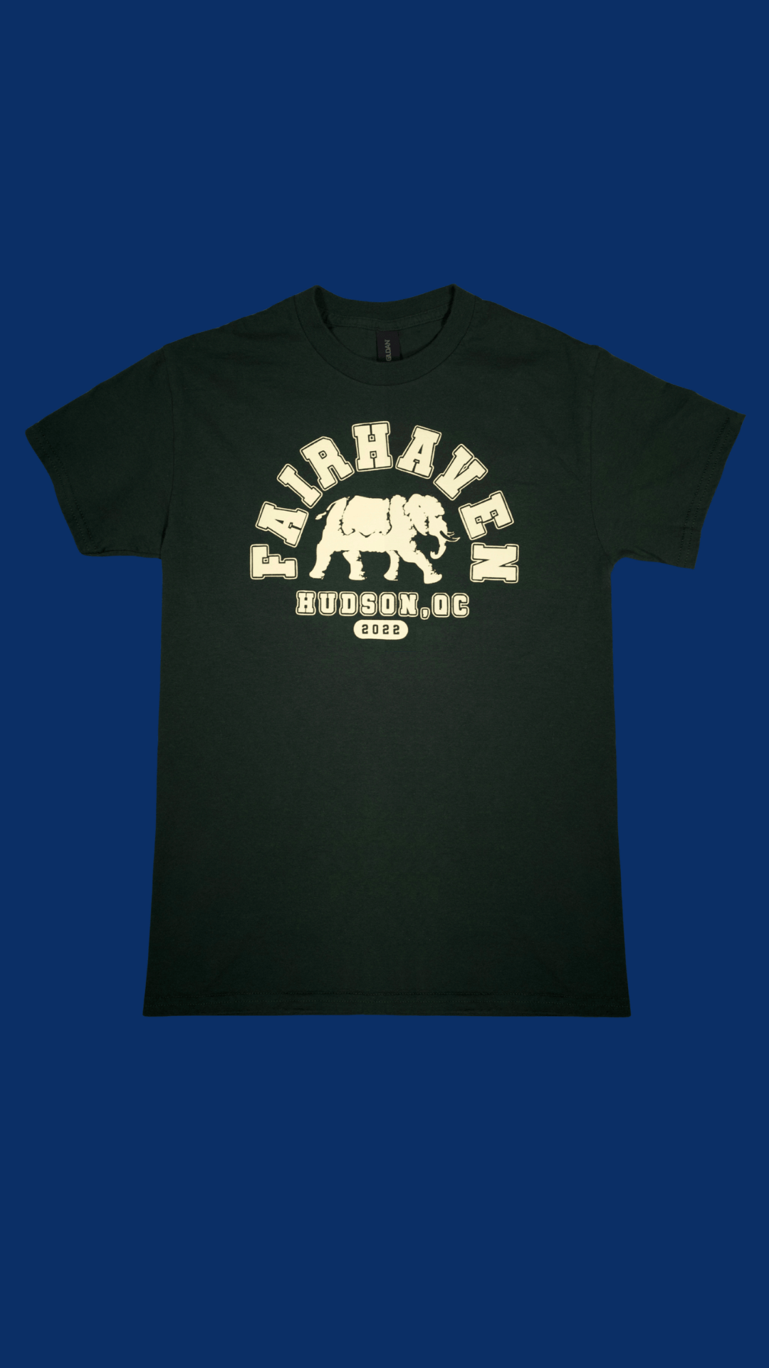 Varsity Tee (Forest Green / Cream)